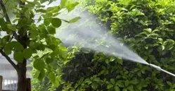 Fumigación control de plagas Fumigar