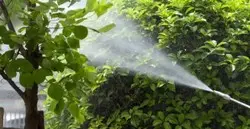 Fumigación control de plagas Fumigar
